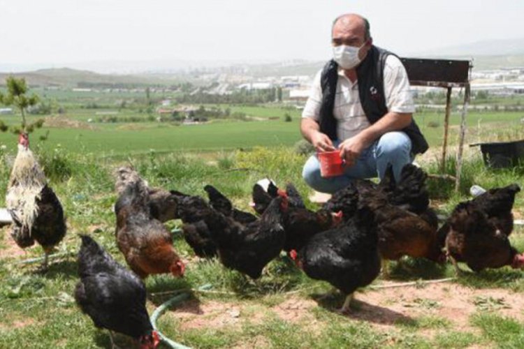 Yanlışlıkla KKTC'ye başvuru yapmıştı... Valilikten iznini aldı