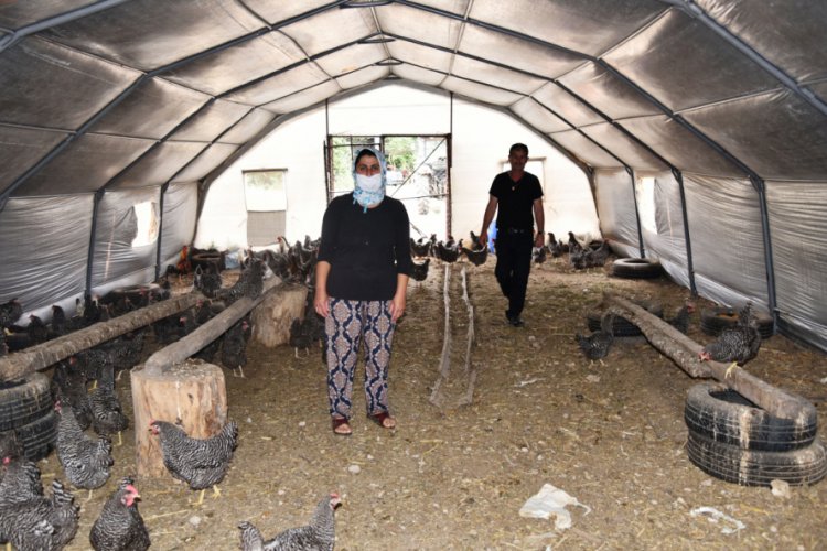 150 tavuğunu telef eden tilkiyi d&uuml;zenekle yakaladı