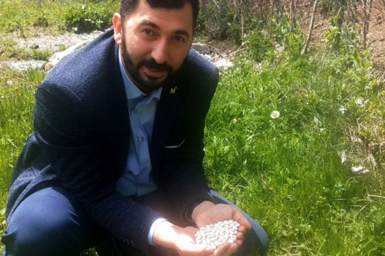 Ordu'nun tescilli fasulyesi i&ccedil;in &uuml;reticilere destek