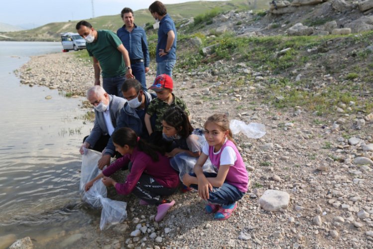 12 g&ouml;l, g&ouml;let ve baraja 180 bin sazan yavrusu bırakıldı
