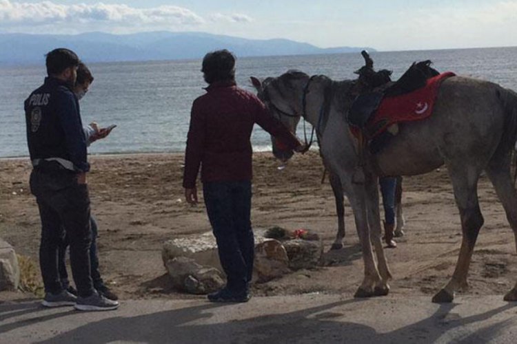 Plajda atlarıyla gezen ciritçilere para cezası
