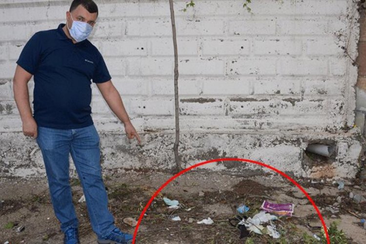 Koronavir&uuml;s, b&ouml;cek ve sineklerle taşınır mı?