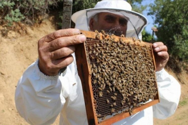 Ter&ouml;rden arındırılan yaylalarda arıcıların 'tatlı' mesaisi