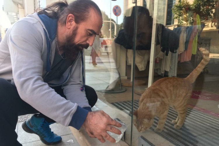 2 gün boyunca mağazada aç ve susuz kalan kedi kurtarıldı Yaşam