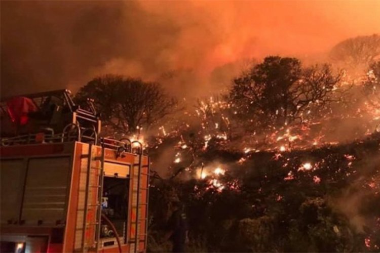 Tatil cennetinde  25 d&ouml;n&uuml;m makilik alan k&uuml;l oldu
