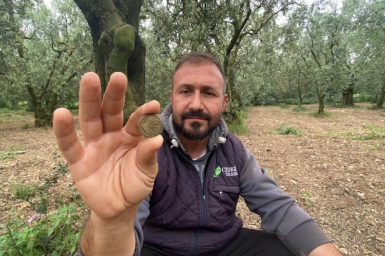 Bursa'da zeytin ilaçlarken 2200 yıllık sikke buldu