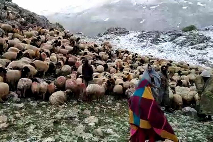 Y&ouml;r&uuml;kler, Kurubel Yaylası'na yerleştirildi