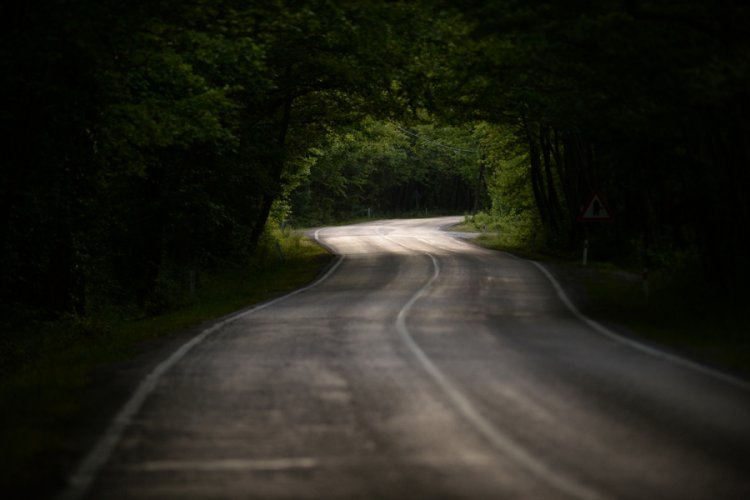 Safranbolu'nun ağa&ccedil; t&uuml;nelli yolu "yolcularını" bekliyor