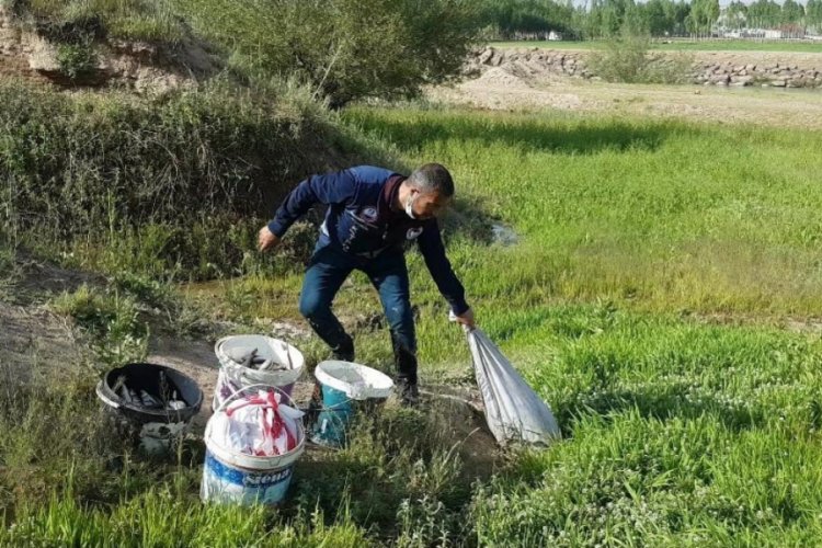 Ka&ccedil;ak avlanmış 2 ton balığa el konuldu