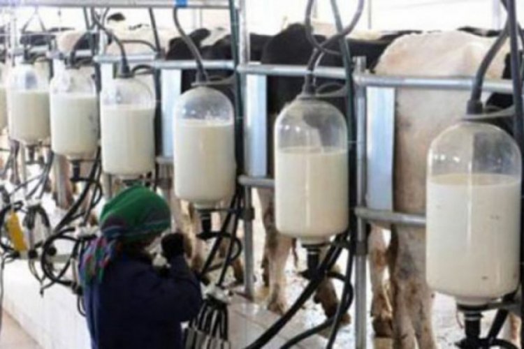 Bursa&nbsp;s&uuml;t sekt&ouml;r&uuml;nden ihracatı artırma &ouml;nerisi