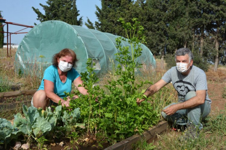 Dat&ccedil;a'da yerel tohum seferberliği