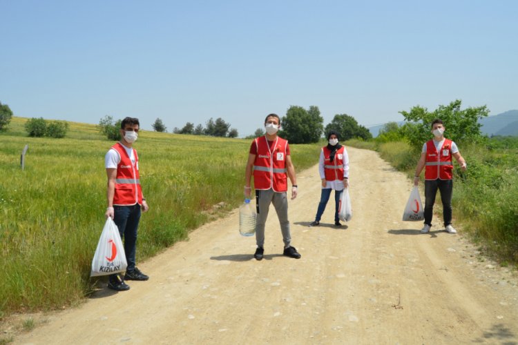 T&uuml;rk Kızılay Bursa Şubesi, sokak hayvanlarını unutmadı