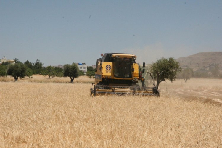 Kilis'te hububat hasadı başladı
