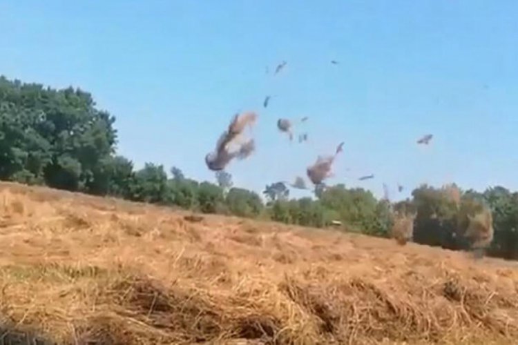 Sakarya'da &ccedil;ıkan hortum paniğe neden oldu