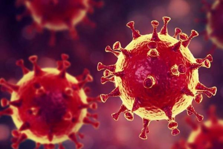 Koronavir&uuml;s hakkında &ccedil;ıkan haber sayısı 21 milyonu aştı