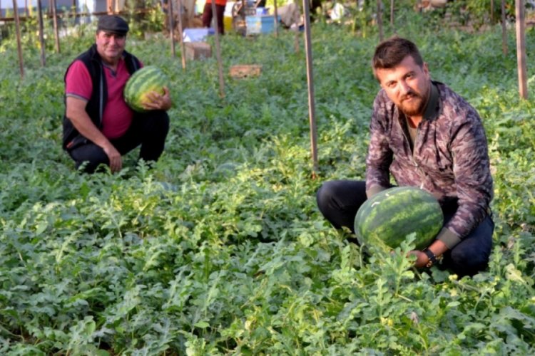 Kekik kokulu karpuz &uuml;retti, sipariş patladı