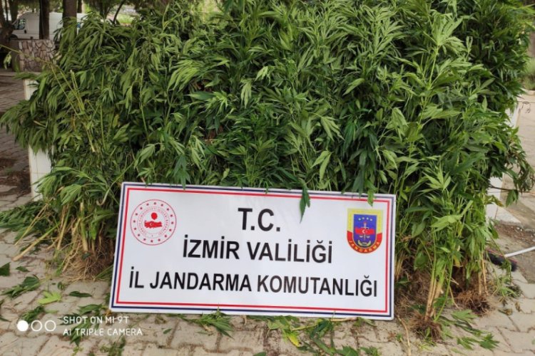 757 k&ouml;k hint keneviri ele ge&ccedil;irildi