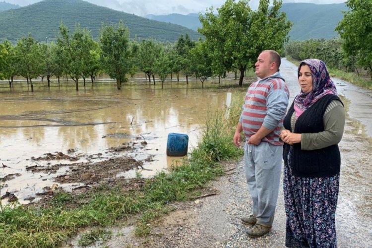 Bursa İznik'te binlerce dönüm ekili tarla sular altında