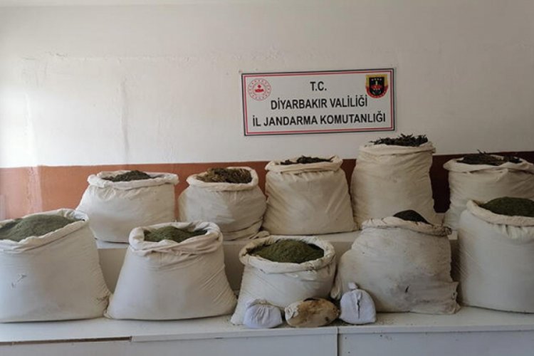2 milyon 452 bin k&ouml;k Hint keneviri ele ge&ccedil;irildi