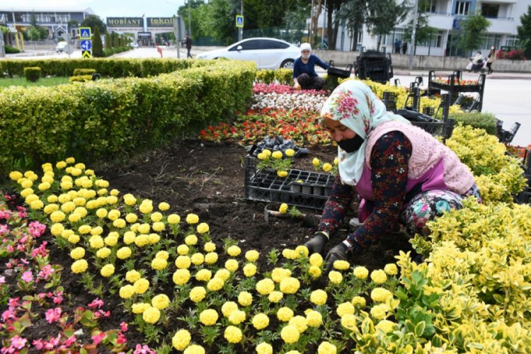 Bursa İnegöl'de 200 bin çiçek toprakla buluşuyor