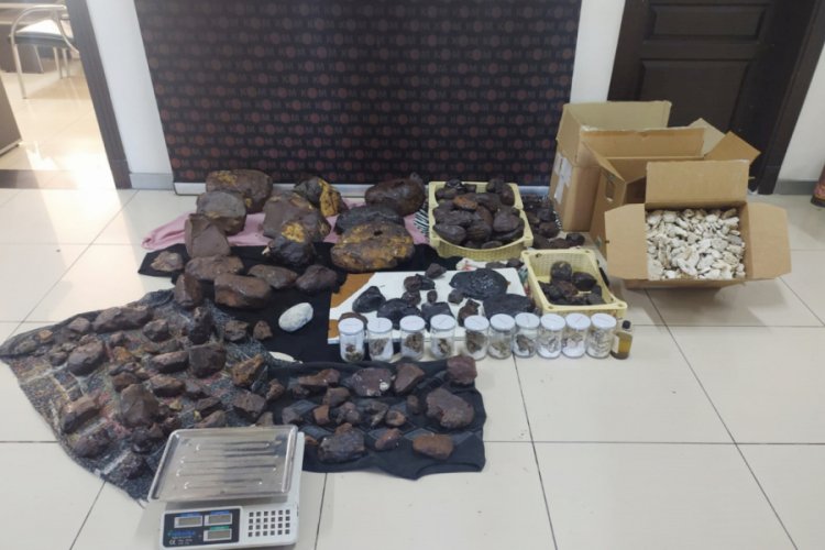 11 milyon TL değerinde 145 kilo balina kusmuğu ele ge&ccedil;irildi