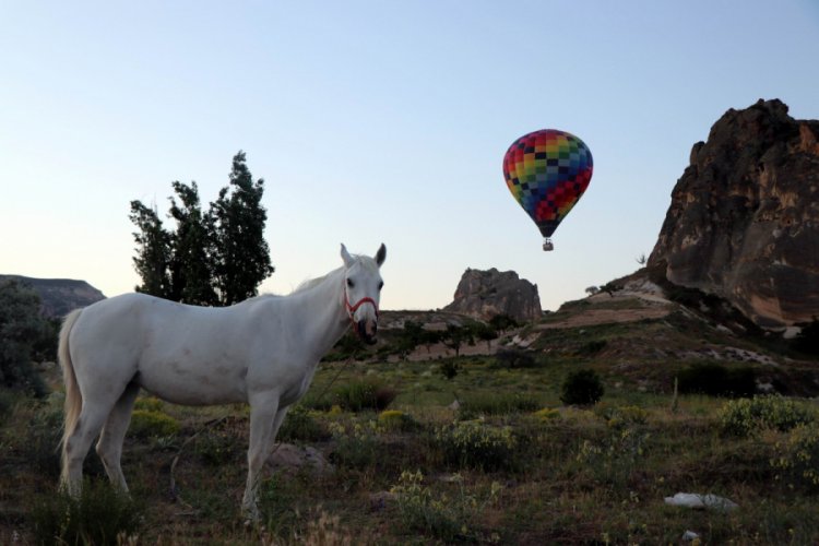 Kapadokya'da g&ouml;ky&uuml;z&uuml; balonlarla renklendi