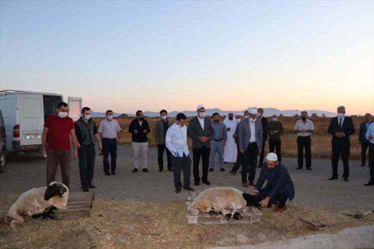 KKTC'de ş&uuml;k&uuml;r kurbanı kesildi