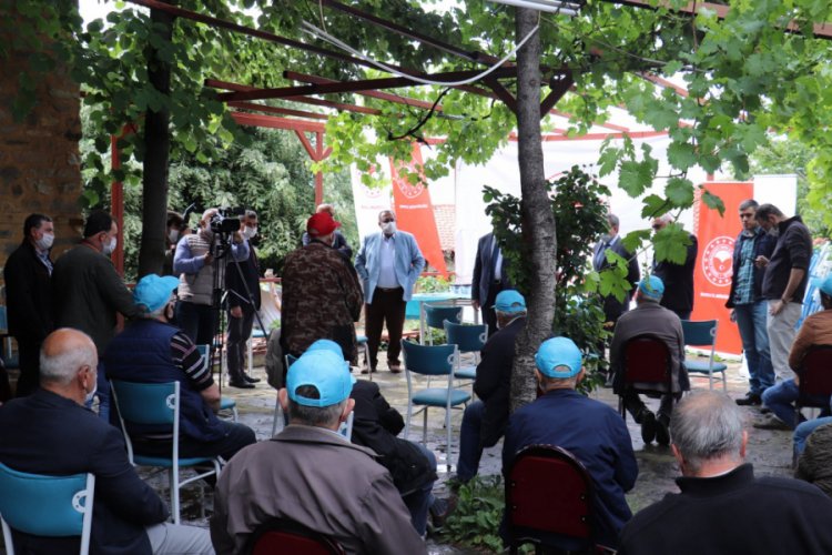 Bursa'da meyve verimi doğal y&ouml;ntemlerle artırılacak