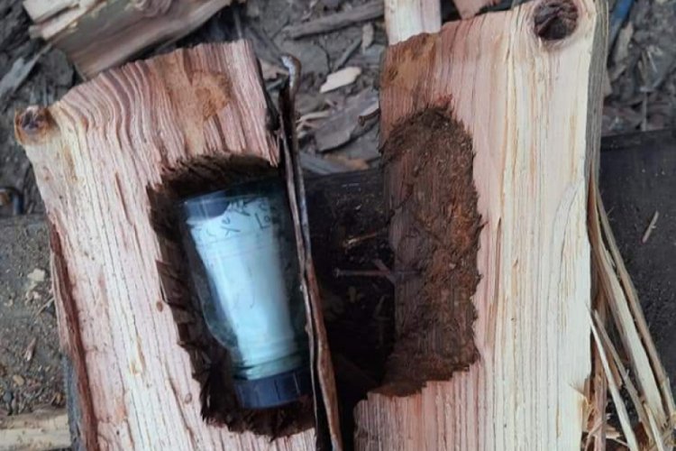&Ccedil;am odununun i&ccedil;inden 43 yıl sonra mektup ve fotoğraf &ccedil;ıktı