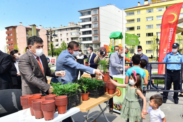 Kastamonu'da &ccedil;ocuklara 15 bin &ccedil;i&ccedil;ek fidesi dağıttı