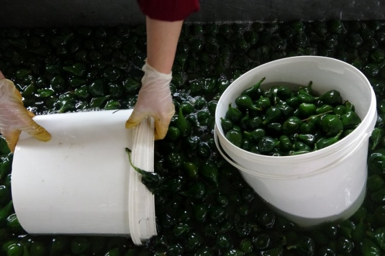 Bursa'da vatandaşlar konserve ve kapalı gıdalara y&ouml;neldi