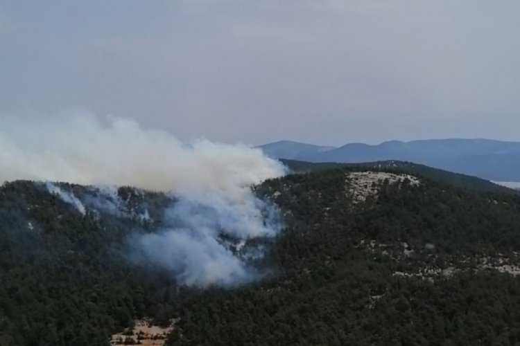 Milas Ta Orman Yangini Bursada Bugun Bursa Bursa Haber Bursa Haberi Bursa Haberleri Bursa