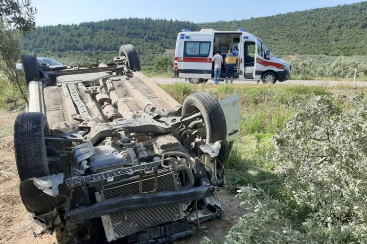 Bursa'da zeytinliğe u&ccedil;an otomobilde dede ve torunu yaralandı