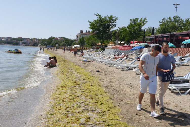 İstanbullular denize girerek serinledi
