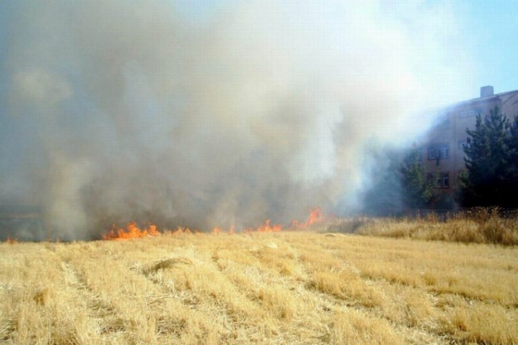 Anız yakanlara ceza uyarısı