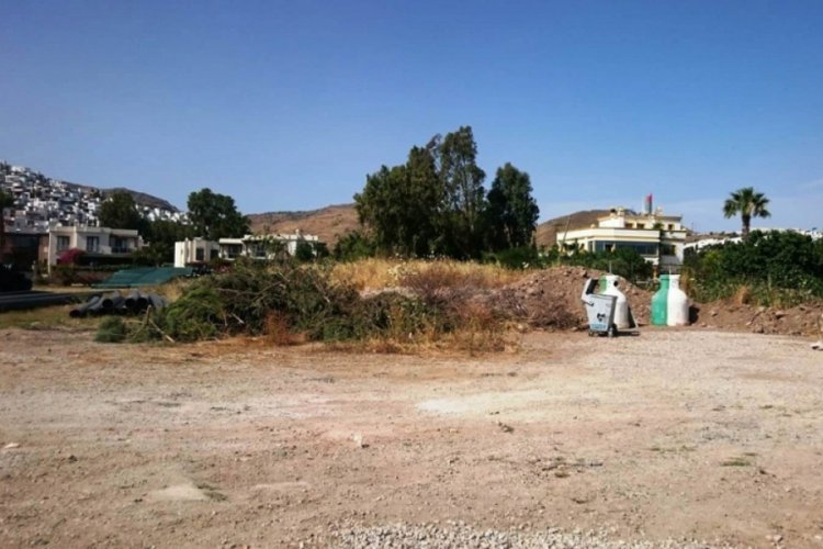 Sahili genişletmek i&ccedil;in ağa&ccedil; katliamı yaptılar