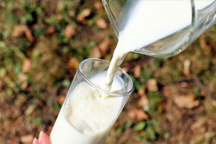 &Ccedil;iğ s&uuml;t desteği &ouml;demelerine ilişkin esaslar belli oldu