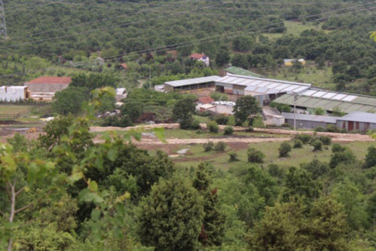 İYİ Partili L&uuml;tf&uuml; T&uuml;rkkan'a 1 ay s&uuml;re