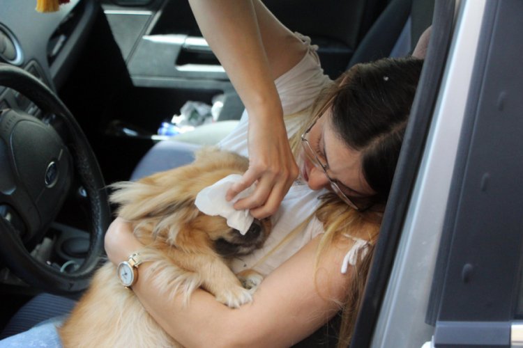 Otomobilde bırakılan k&ouml;pek kurtarıldı