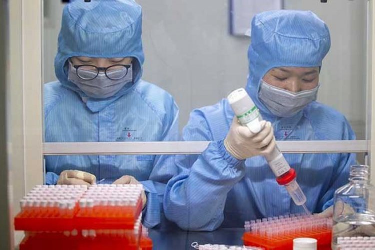 Kenya'da vaka sayısı 3 bine yaklaştı