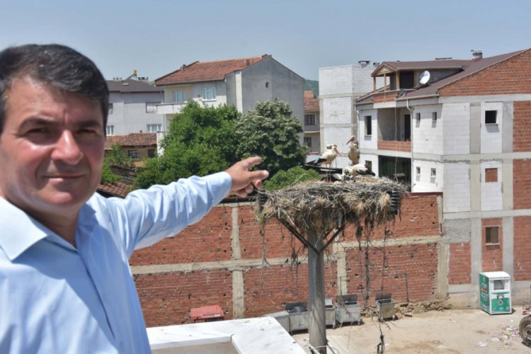 Bursa İneg&ouml;l'deki mahalle, 'leylek k&ouml;y&uuml;' oldu