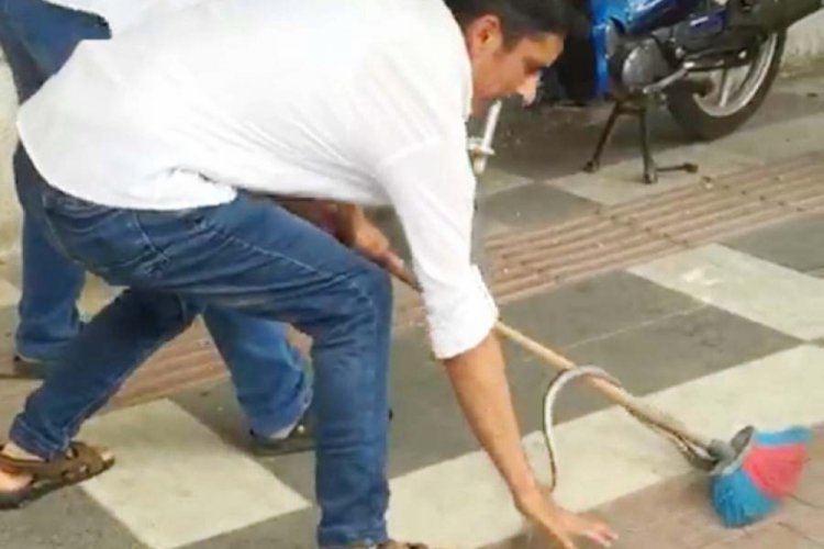 Kahvehanede oturanların masasına 'yılan' d&uuml;şt&uuml;