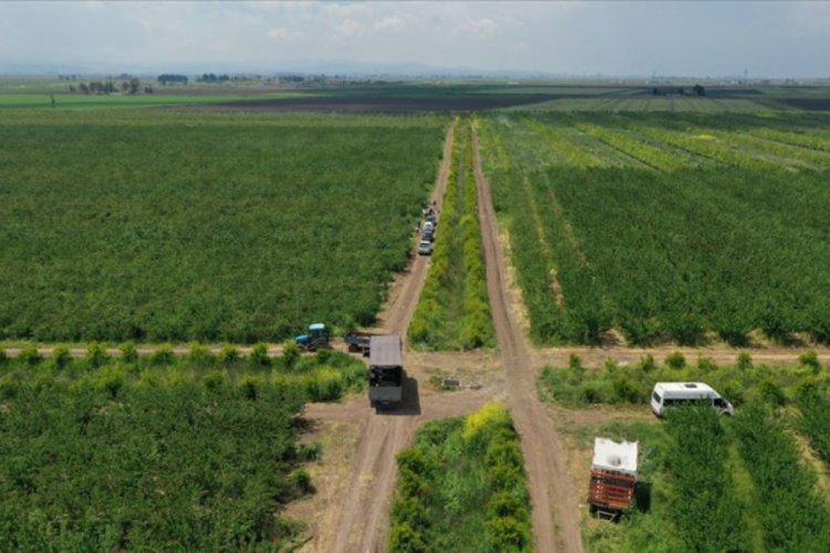 Tarım ve Orman Bakanlığı: Tarımsal desteklerde 2020 yılında tarihi rekora imza atıldı