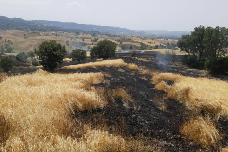 Manisa'da 6 hektar buğday tarlası k&uuml;le d&ouml;nd&uuml;