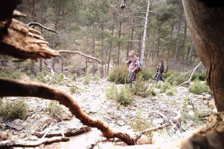 Fotokapana yakalanan avcılara 10 bin TL ceza