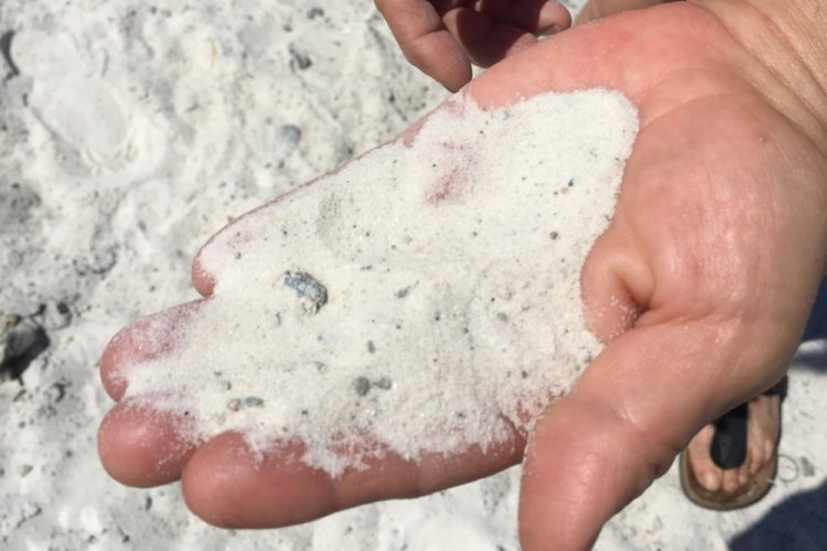 'Plajlara serilen kuvars tozu denizdeki yaşamı olumsuz etkiler'