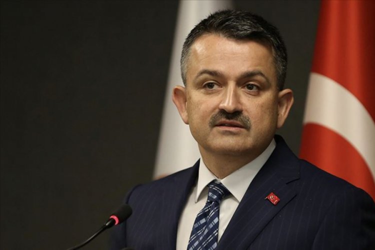 Bakan Pakdemirli: &Uuml;reticilere 780 milyon lira hasar tazminatı &ouml;denecek