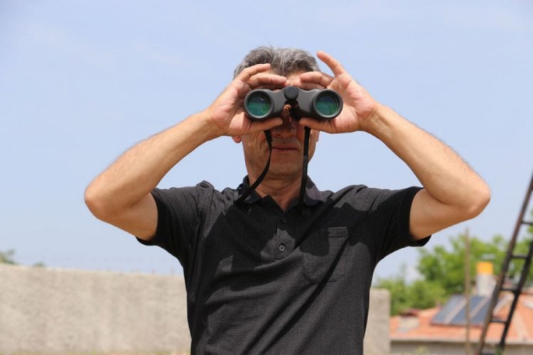 &Ccedil;orum'da aslan alarmı: Her yerde arıyorlar