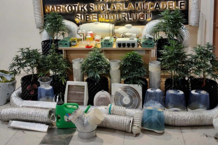 Bursa'da evinde uyuşturucu yetiştiren bir kişi g&ouml;zaltında