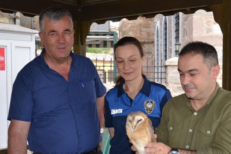 &Ccedil;anakkale'de yaralı puhu kuşuna zabıta ekibi sahip &ccedil;ıktı